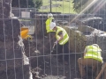 First Day of Archaeological Dig in Sunshine